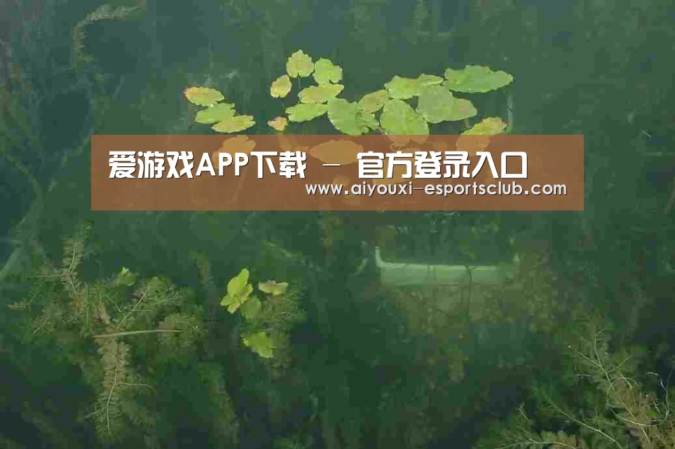 案例展示三