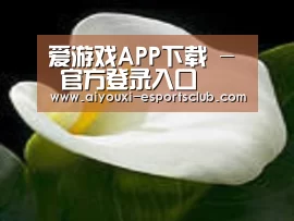 产品名称七