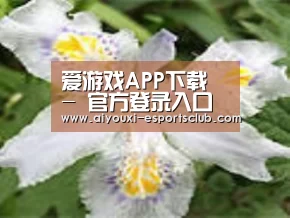 产品名称二