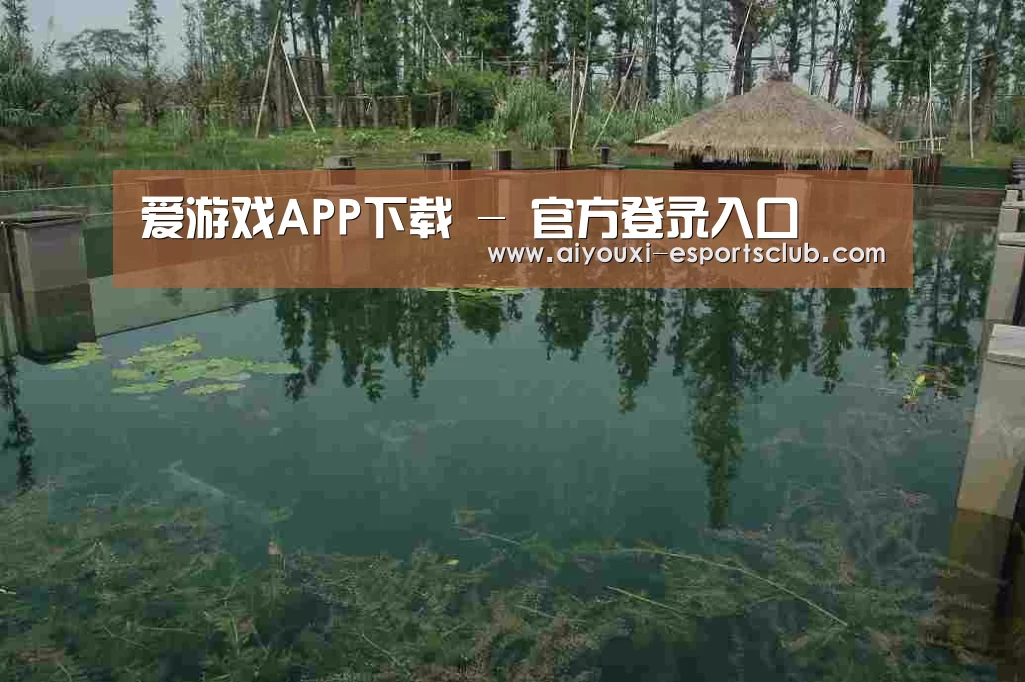 案例展示二