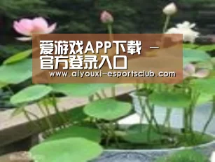 产品名称一