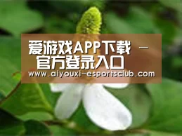 产品名称三