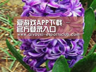 产品名称八