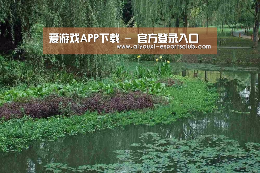 案例展示一