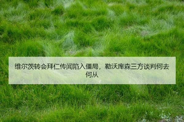 wei-er-ci-zhuan-hui-bai-ren-chuan-wen-xian-ru-jiang-ju-lei-wo-ku-sen-san-fang-tan-pan-he-qu-he-cong-3-215.jpg