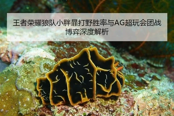 wang-zhe-rong-yao-lang-dui-xiao-pang-fei-da-ye-sheng-lv-yu-chao-wan-hui-tuan-zhan-bo-yi-shen-du-jie-xi-3-666.jpg