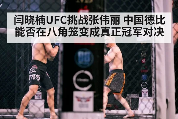闫晓楠UFC挑战张伟丽 中国德比能否在八角笼变成真正冠军对决